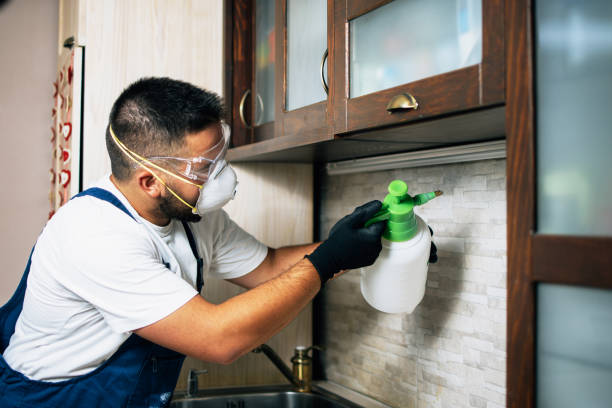 Best Insect Control  in Washburn, WI
