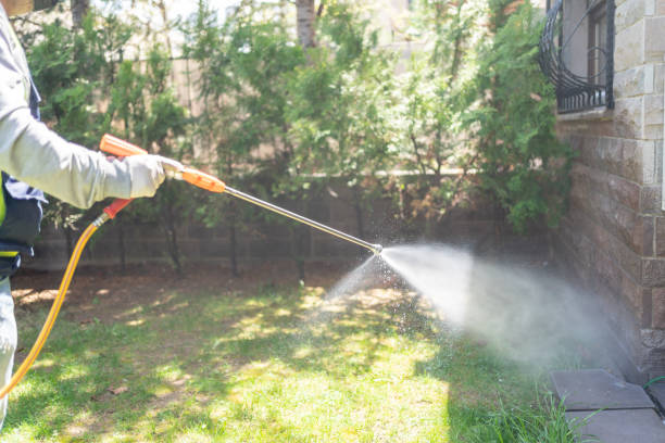 Wasp Removal Services in Washburn, WI