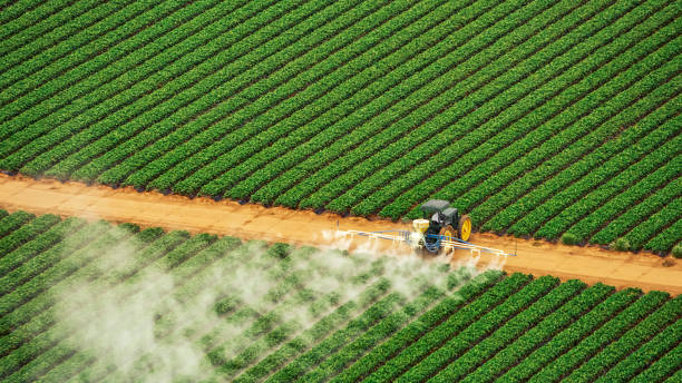 Pest Prevention Services in Washburn, WI