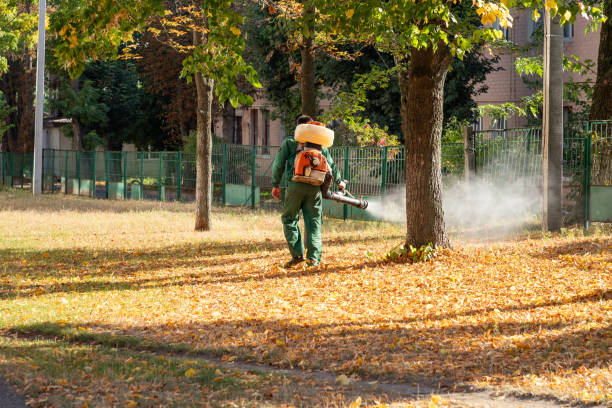 Trusted Washburn, WI Pest Control Experts