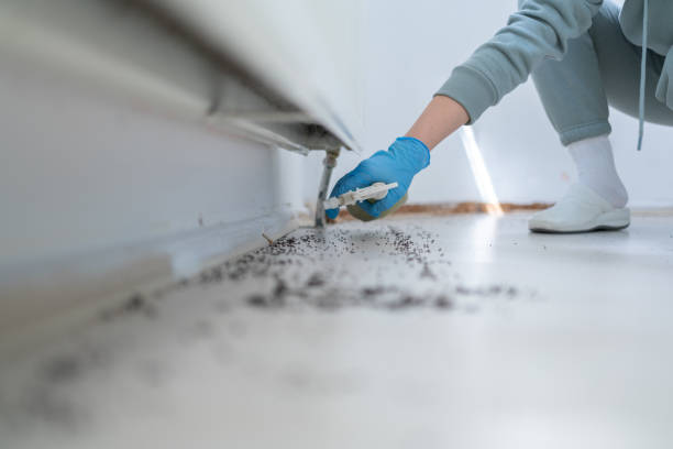 Best Best Pest Control Companies  in Washburn, WI