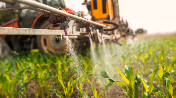 Pest Control Cost in Washburn, WI